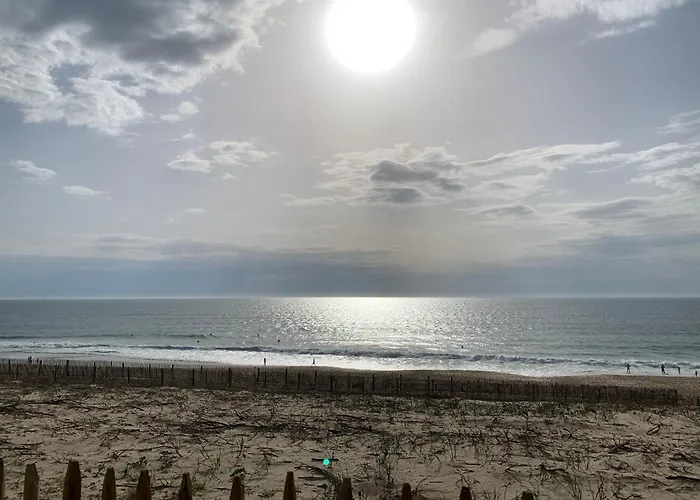 Appartement Rez-De-Chaussee Entre Dunes Et Ocean
