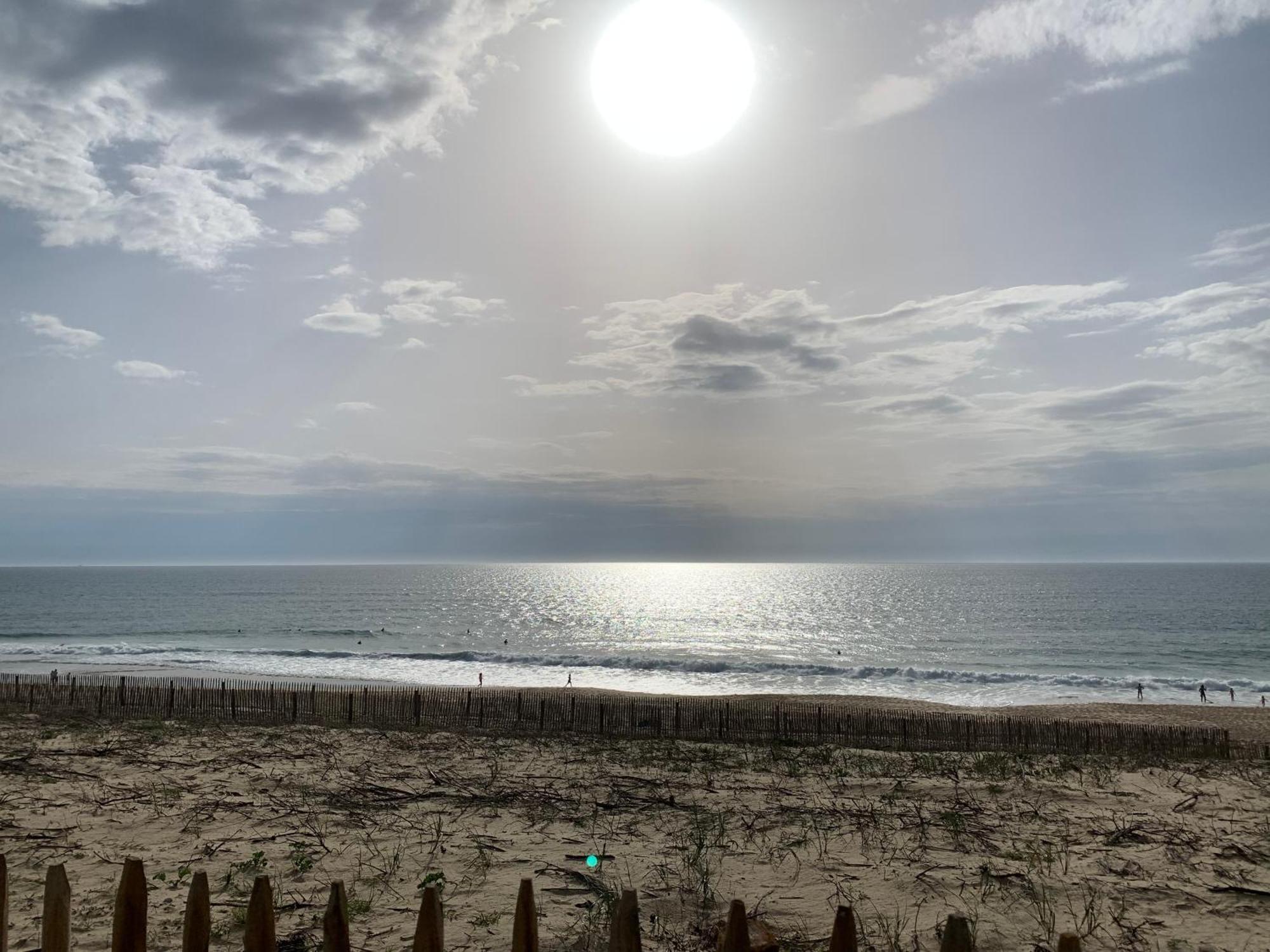 Rez-de-chaussee Entre Dunes Et Ocean Apartment
